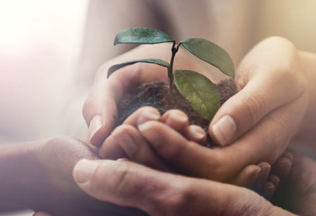 Leadership Development Builds Resilient Organizations For The Future